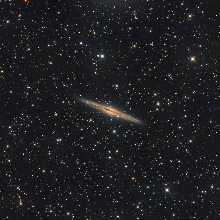 NGC 891